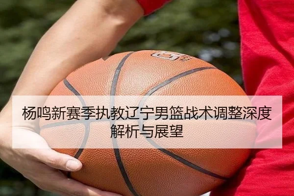 杨鸣新赛季执教辽宁男篮战术调整深度解析与展望